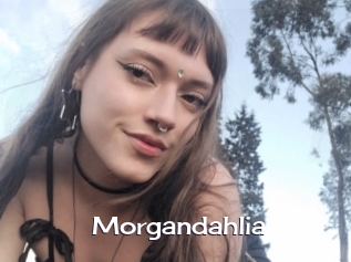 Morgandahlia