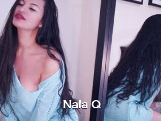 Nala_Q