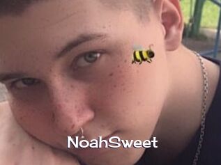 NoahSweet