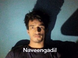 Naveengadil