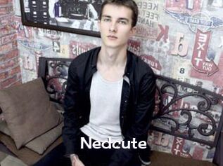 Nedcute
