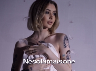 Nesolamaisone