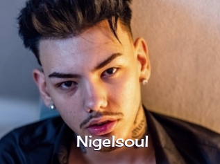Nigelsoul
