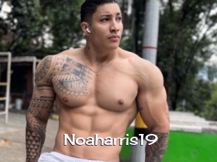 Noaharris19