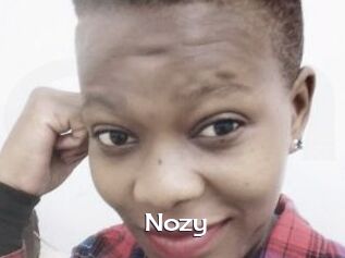 Nozy