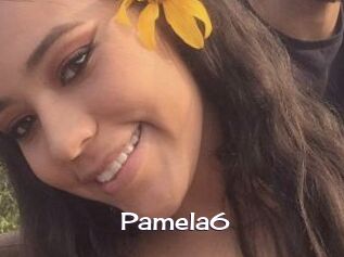 Pamela6