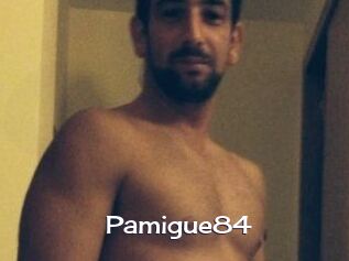 Pamigue84