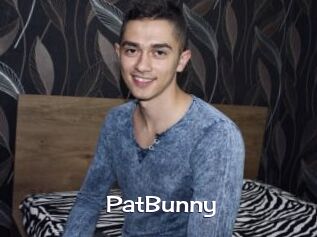 PatBunny