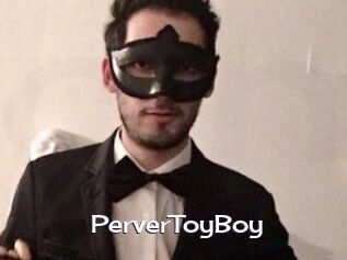 PerverToyBoy