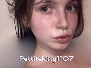 Pettitekitty1107