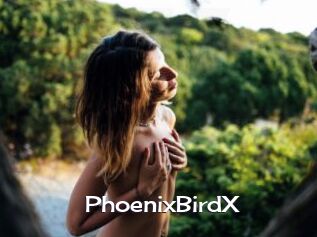 PhoenixBirdX