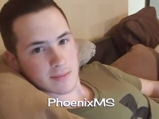 PhoenixMS