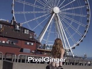 PixelGinger