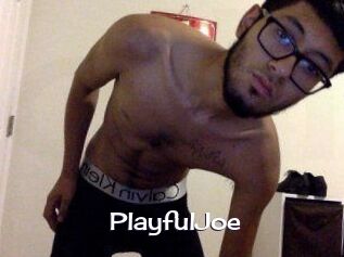 PlayfulJoe