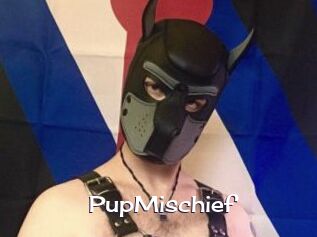 PupMischief