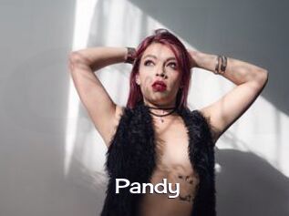 Pandy