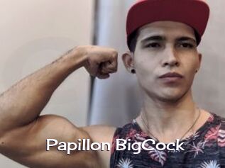 Papillon_BigCock