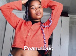 Peanutbug