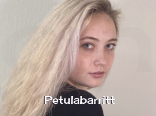 Petulabarritt