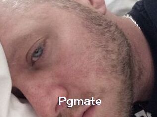 Pgmate