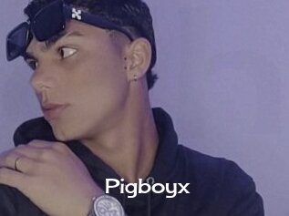 Pigboyx