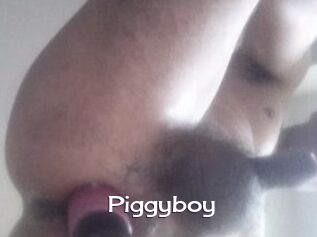 Piggyboy