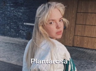 Plantarosa