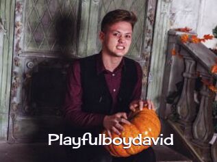 Playfulboydavid