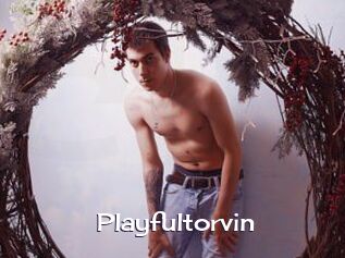 Playfultorvin