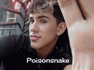 Poisonsnake