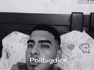 Pollbigdick