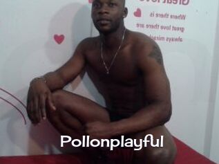 Pollonplayful