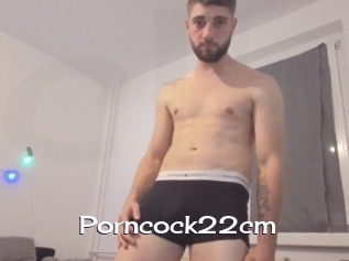 Porncock22cm