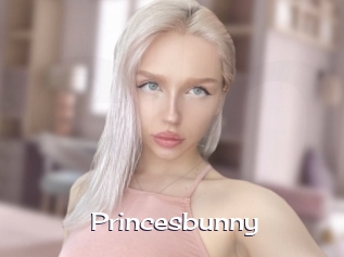 Princesbunny