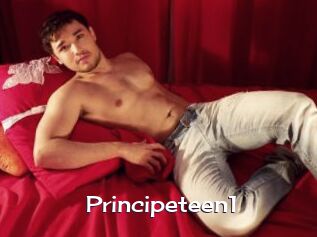 Principeteen1