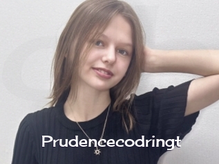 Prudencecodringt