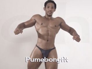 Pumebonyfit