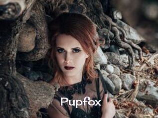 Pupfox