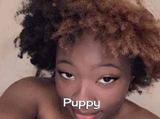 Puppy