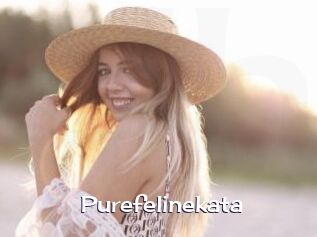 Purefelinekata