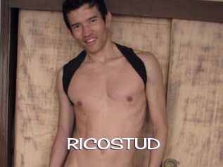 RICOSTUD Click here to exit