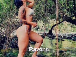 Ravens