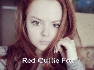 Red_Cuttie_Fox