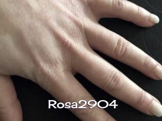 Rosa2904