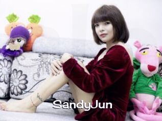 SandyJun