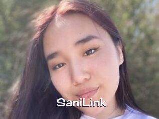 SaniLink