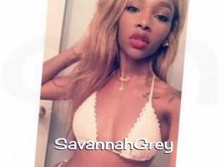 Savannah_Grey