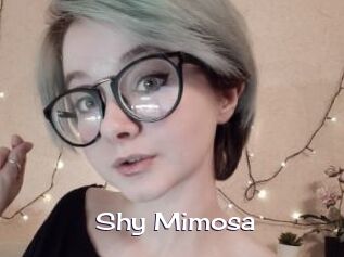Shy_Mimosa