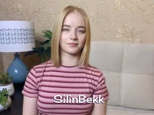 SilinBekk