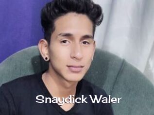 Snaydick_Waler